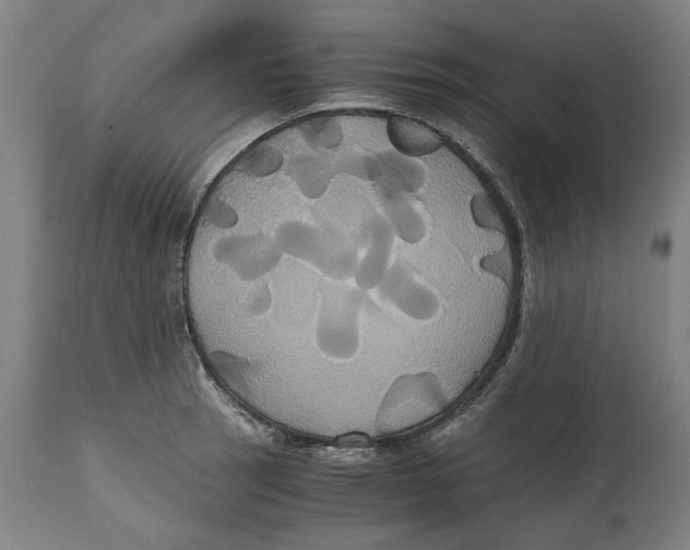 X0000114701137200911181310