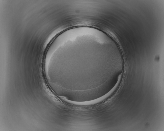 X0000114701138200911181310