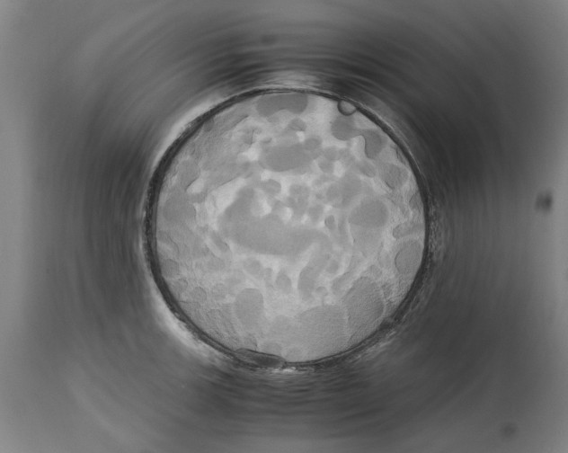 X0000114701139200911181310