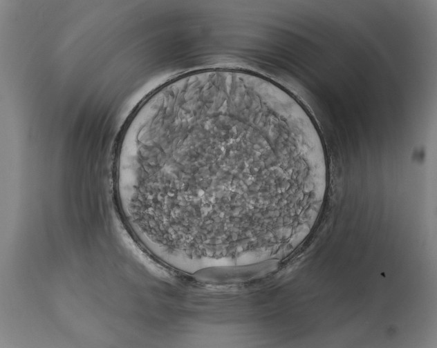 X0000114701142200911181311