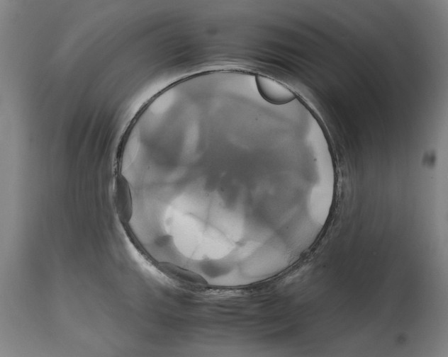 X0000114701143200911181311