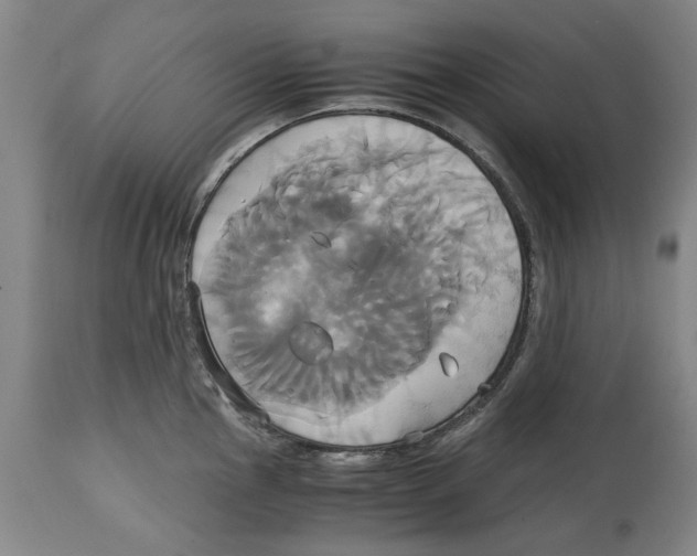 X0000114701145200911181311