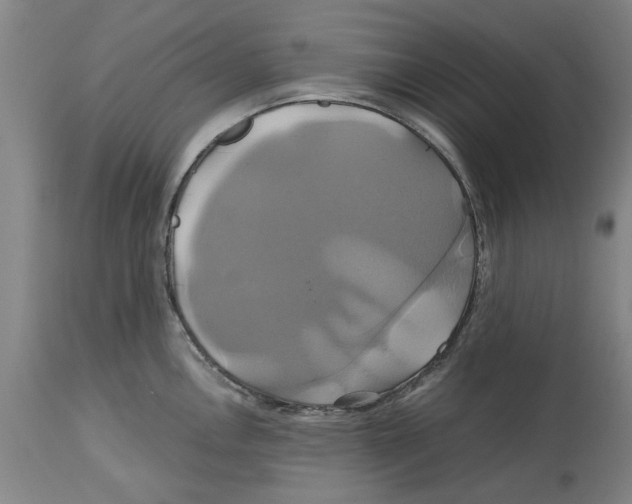 X0000114701146200911181311