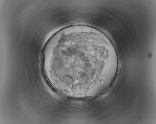 X0000114701149200911181311