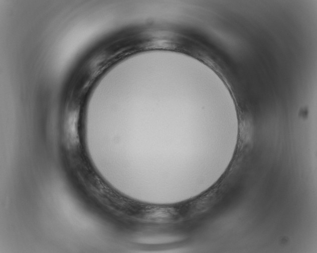 X0000114701150200911181311