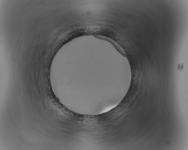 X0000114701153200911181310