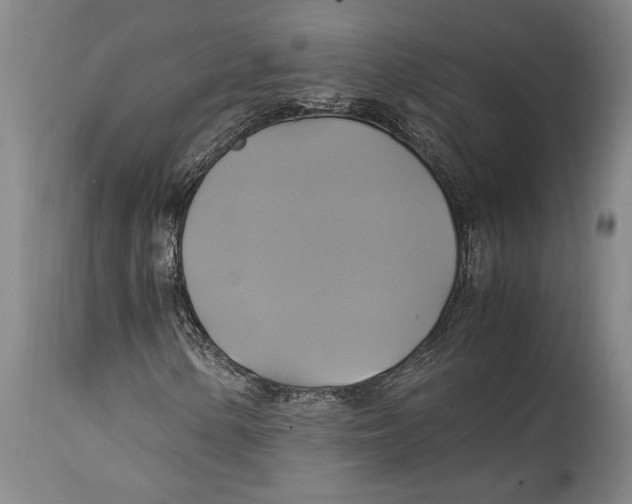 X0000114701154200911181310