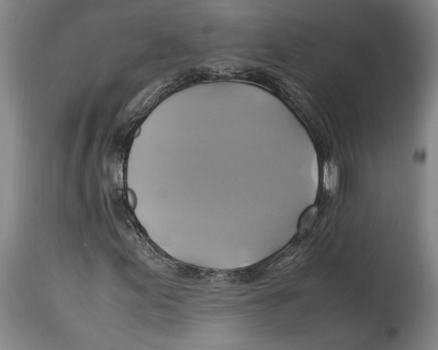 X0000114701155200911181310