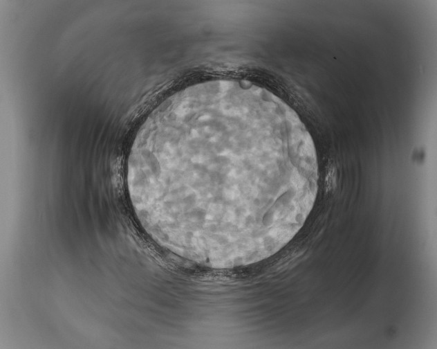 X0000114701156200911181310