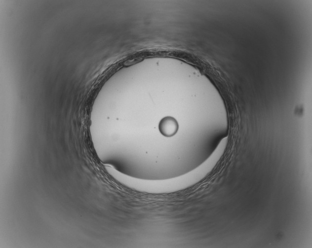 X0000114701157200911181310