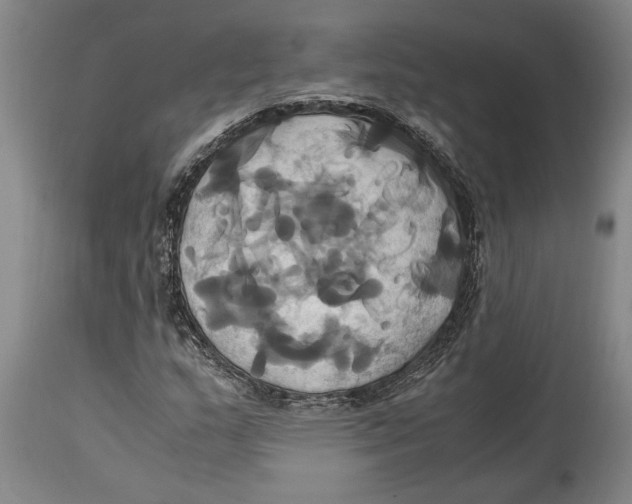 X0000114701159200911181310