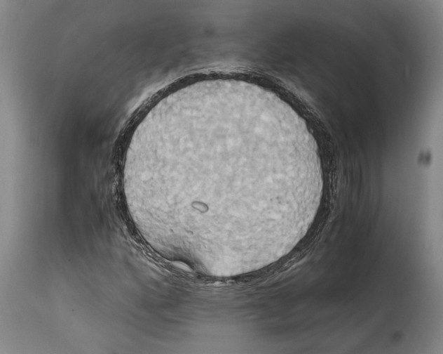 X0000114701160200911181310