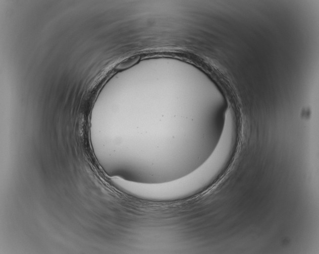 X0000114701161200911181310