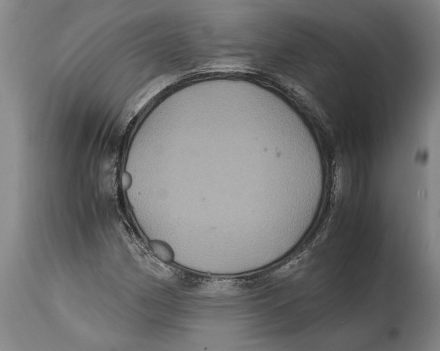 X0000114701162200911181310