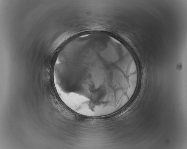 X0000114701163200911181310