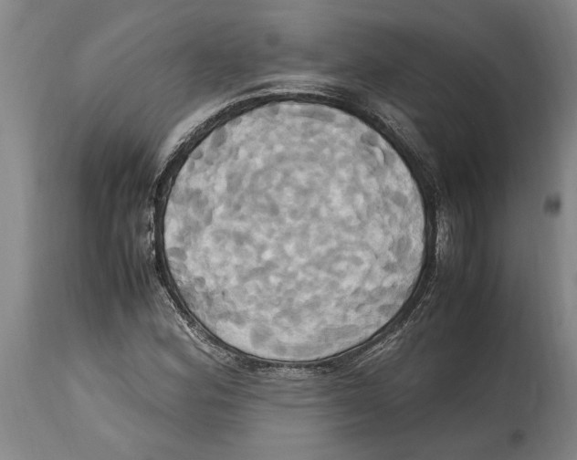 X0000114701164200911181310