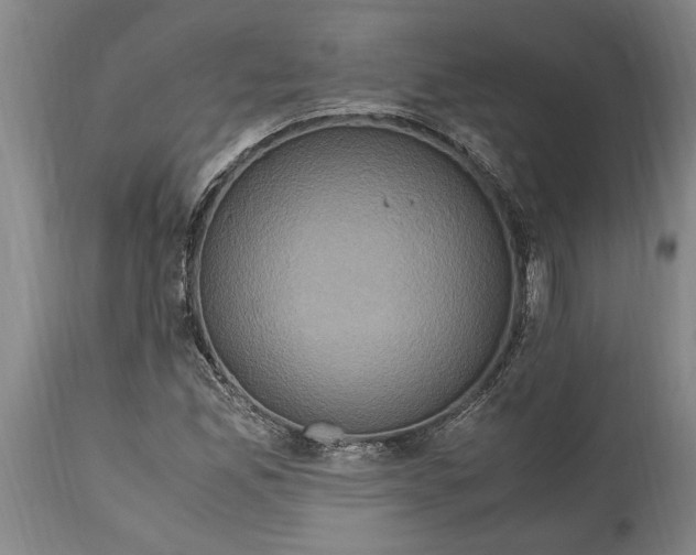 X0000114701165200911181310