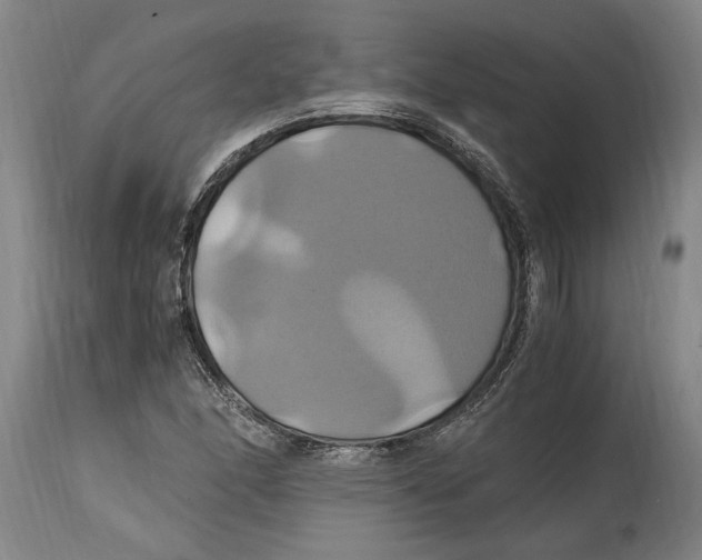 X0000114701166200911181310