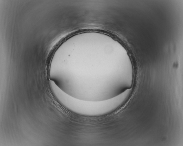 X0000114701167200911181310