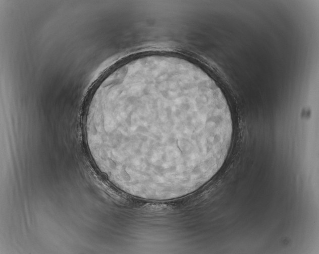 X0000114701168200911181310