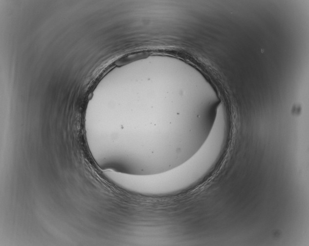 X0000114701169200911181310