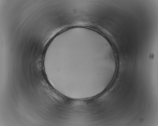 X0000114701170200911181310