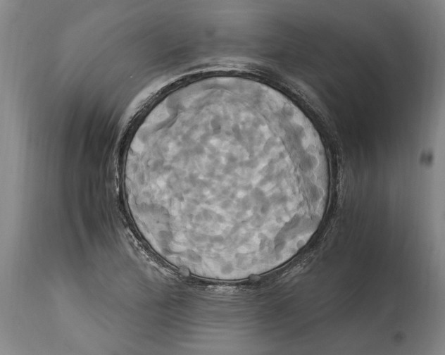 X0000114701172200911181310