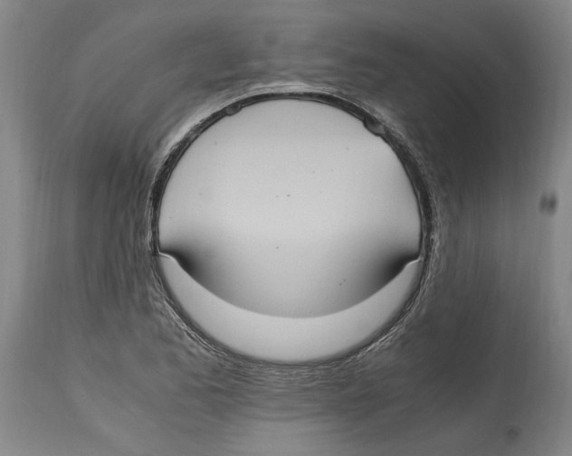 X0000114701173200911181310