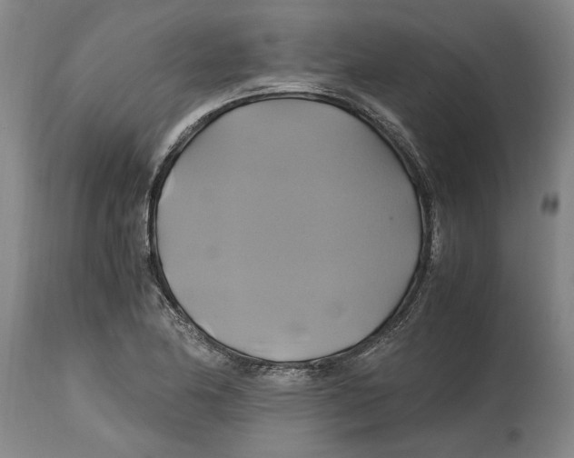 X0000114701174200911181310