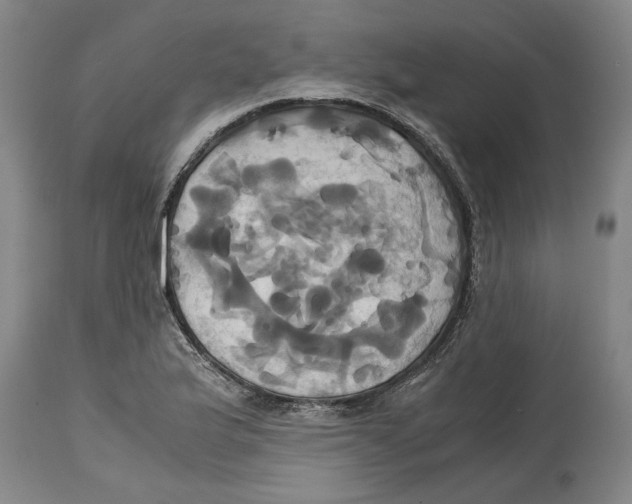 X0000114701175200911181310