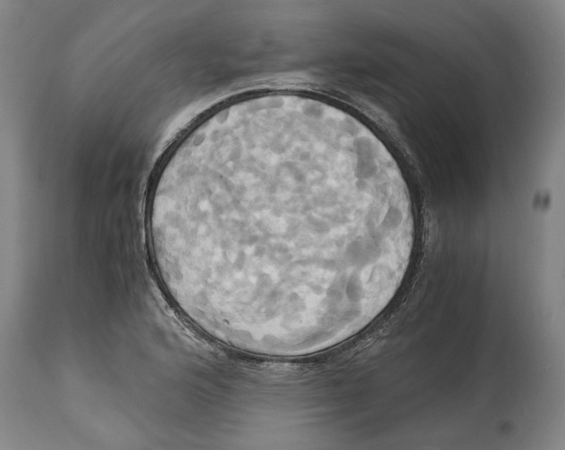 X0000114701176200911181310