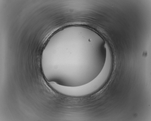 X0000114701177200911181309