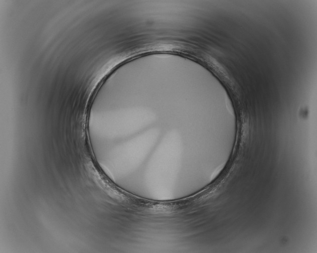 X0000114701178200911181309