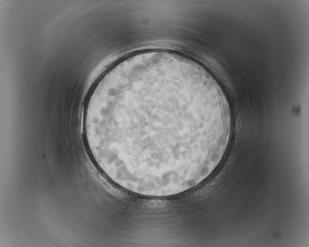 X0000114701180200911181309