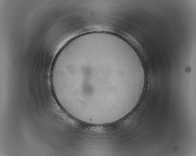 X0000114701182200911181309