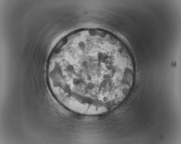 X0000114701183200911181309