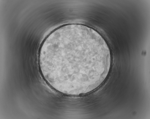 X0000114701184200911181309