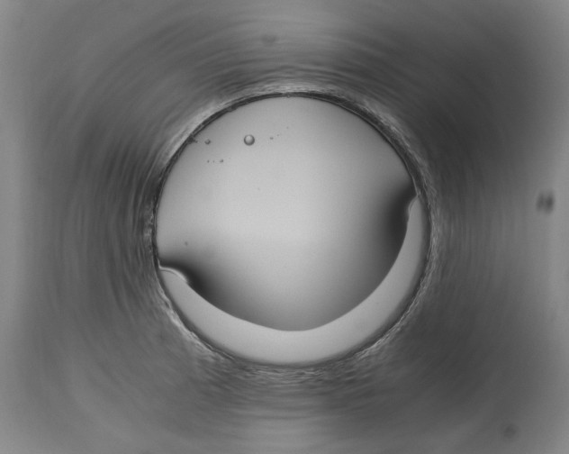 X0000114701185200911181309