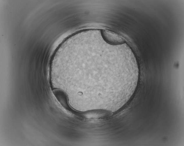 X0000114701188200911181309