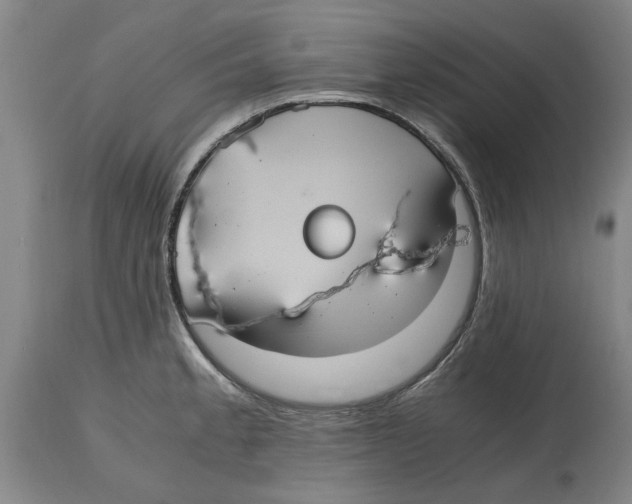 X0000114701189200911181309