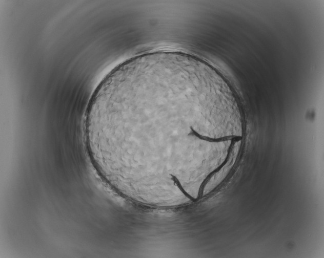 X0000114701190200911181309