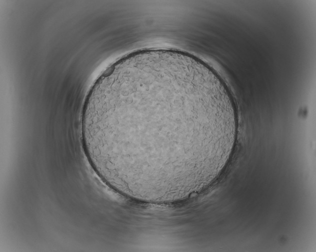 X0000114701191200911181309