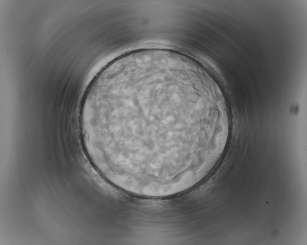 X0000114701192200911181309