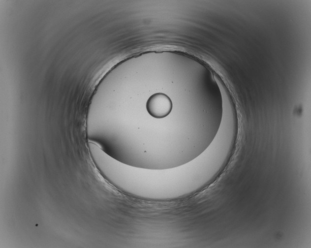 X0000114701193200911181309