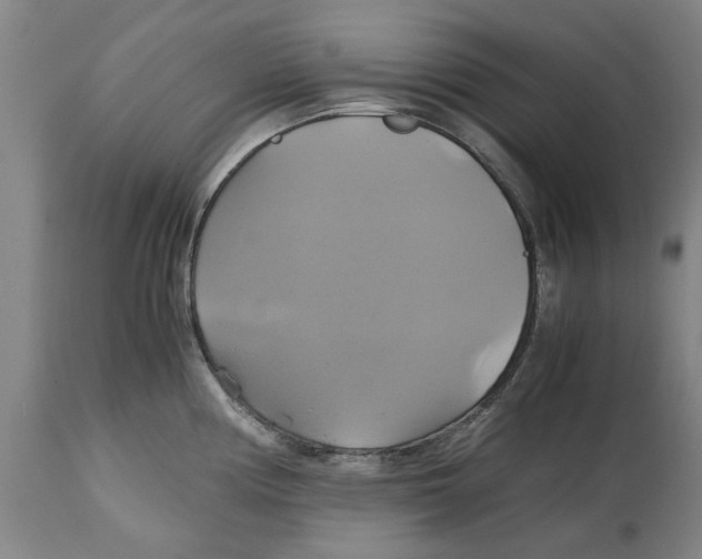 X0000114701194200911181309