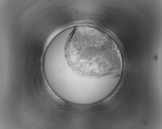 X0000114701196200911181309