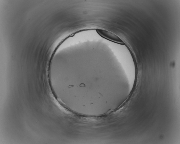 X0000114701197200911181309