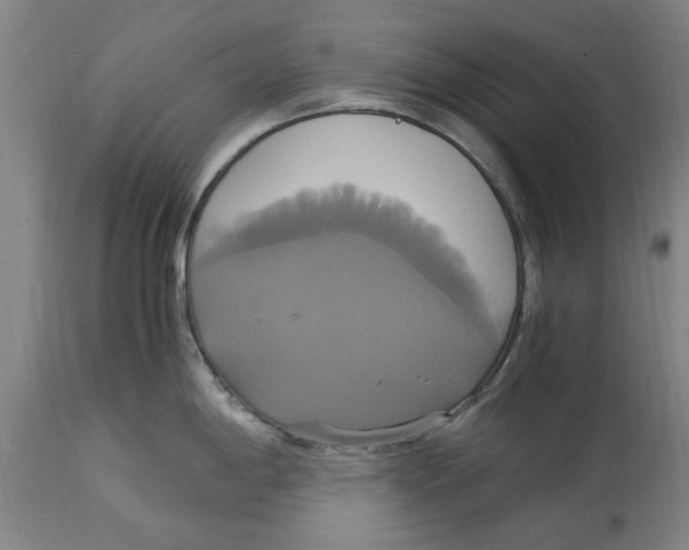 X0000114701198200911181309