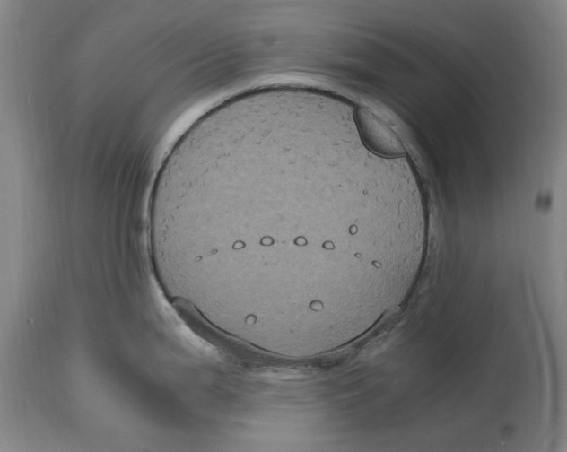 X0000114701199200911181309