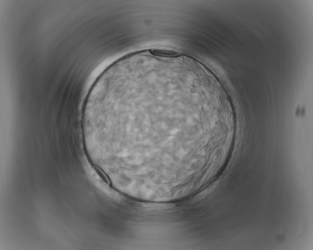 X0000114701200200911181309